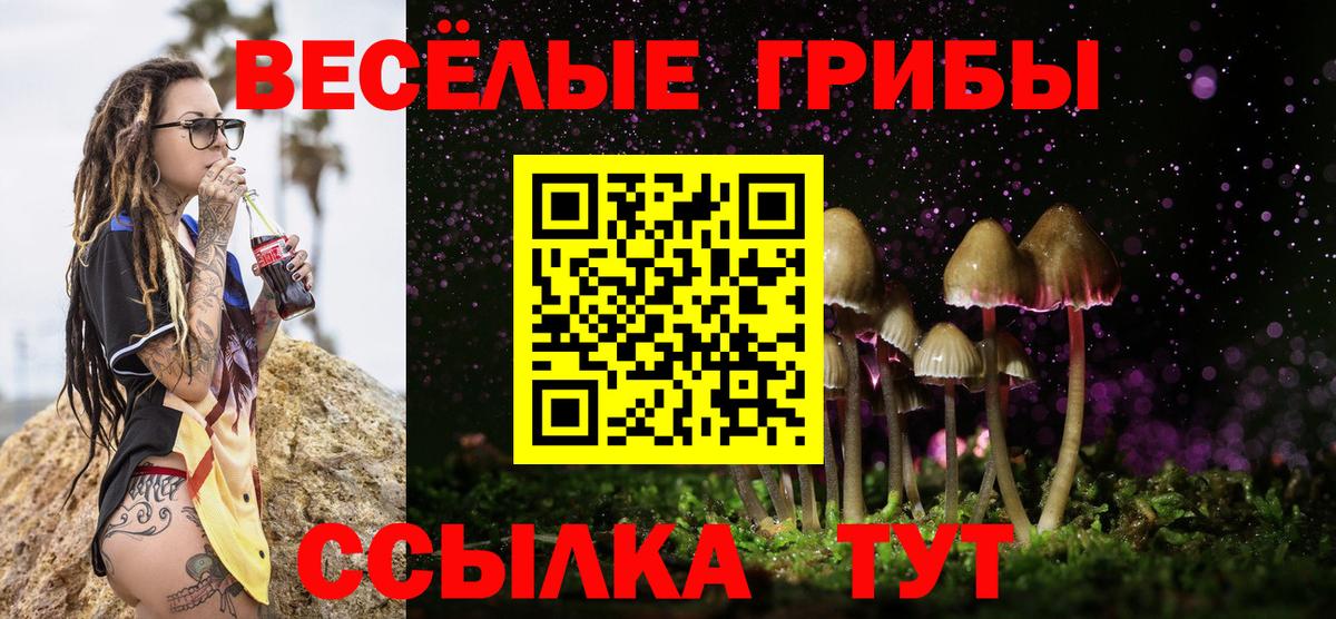 Псилоцибиновые грибы ЛСД  Вход с VPN  Псилоцибиновые грибы ЛСД  Тельмана 